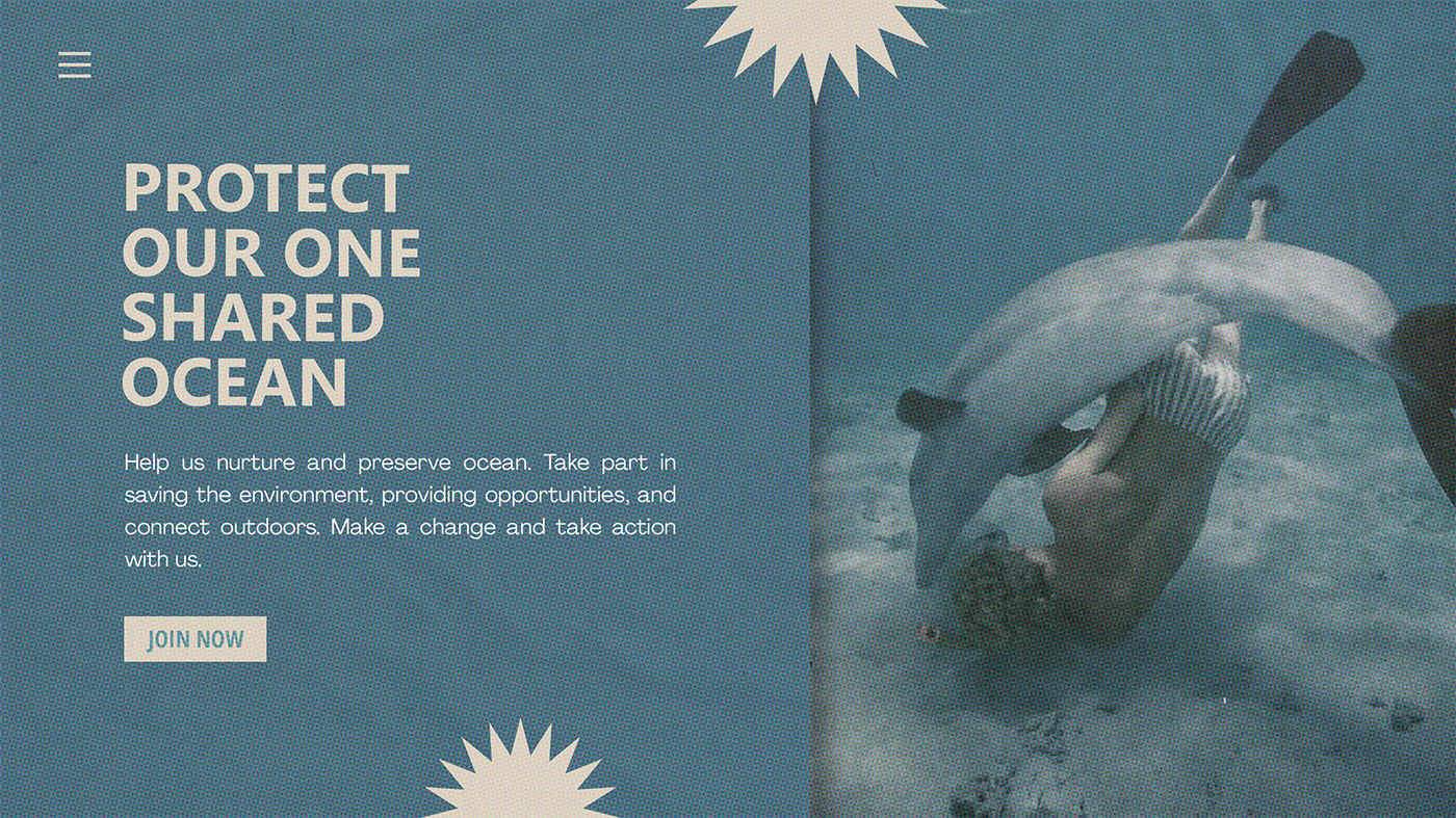 The Ocean Project Desktop View 1