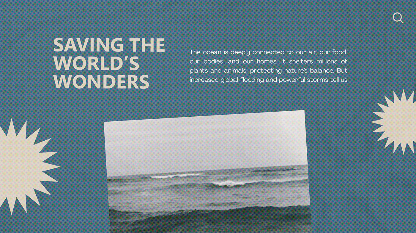 The Ocean Project Desktop View 2
