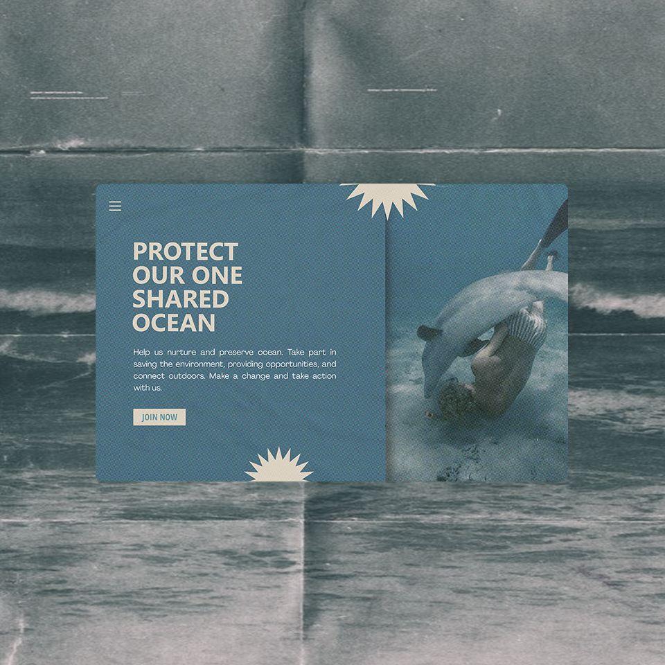 The Ocean Project Thumbnail